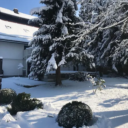 Apartmán Direkt An Der Waldnaab *